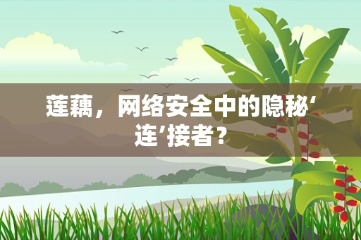 莲藕，网络安全中的隐秘‘连’接者？