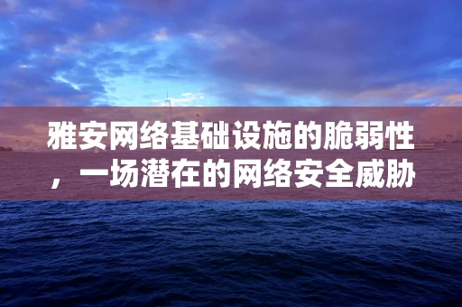 雅安网络基础设施的脆弱性，一场潜在的网络安全威胁？