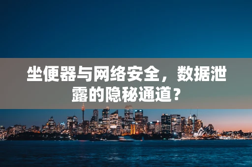 坐便器与网络安全，数据泄露的隐秘通道？