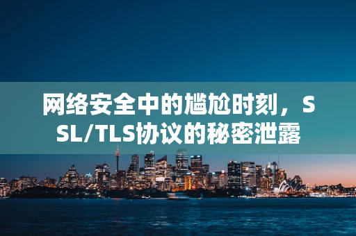 网络安全中的尴尬时刻，SSL/TLS协议的秘密泄露