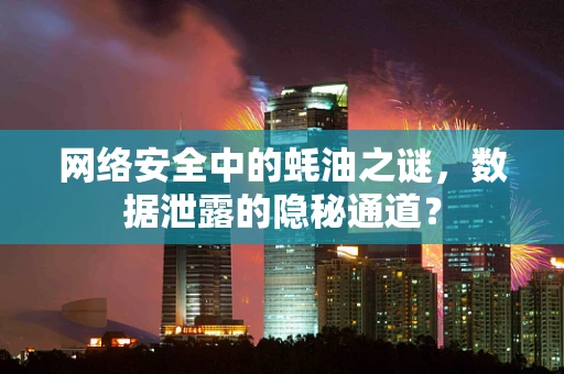 网络安全中的蚝油之谜，数据泄露的隐秘通道？
