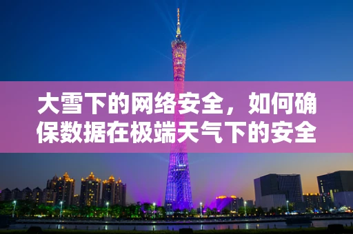 大雪下的网络安全，如何确保数据在极端天气下的安全传输？