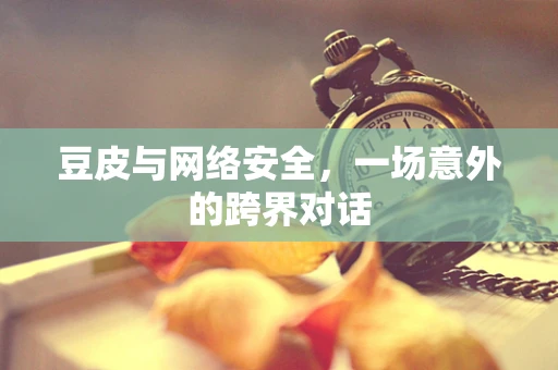 豆皮与网络安全，一场意外的跨界对话