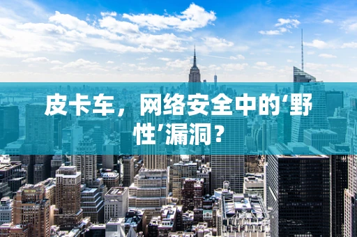 皮卡车，网络安全中的‘野性’漏洞？