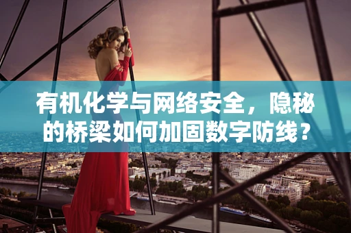有机化学与网络安全，隐秘的桥梁如何加固数字防线？