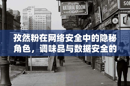孜然粉在网络安全中的隐秘角色，调味品与数据安全的意外交集？