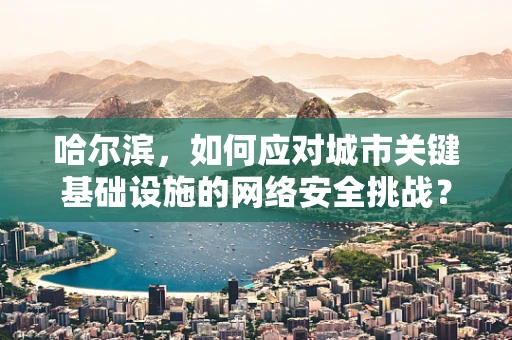 哈尔滨，如何应对城市关键基础设施的网络安全挑战？