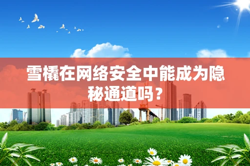雪橇在网络安全中能成为隐秘通道吗？