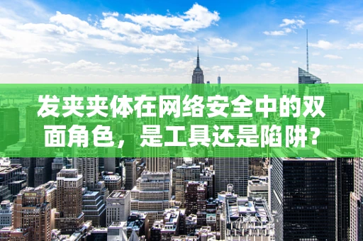 发夹夹体在网络安全中的双面角色，是工具还是陷阱？
