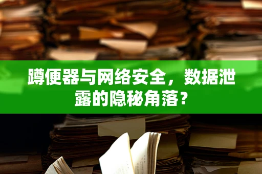 蹲便器与网络安全，数据泄露的隐秘角落？