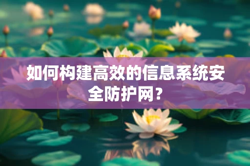 如何构建高效的信息系统安全防护网？