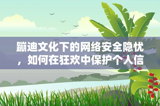 蹦迪文化下的网络安全隐忧，如何在狂欢中保护个人信息安全？