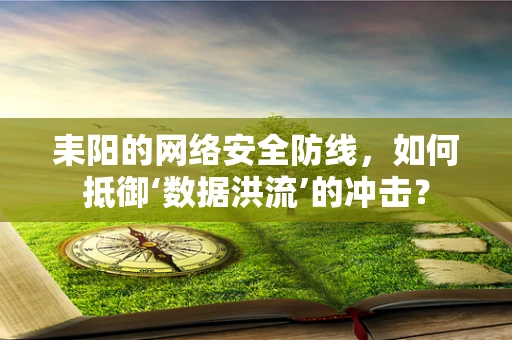 耒阳的网络安全防线，如何抵御‘数据洪流’的冲击？