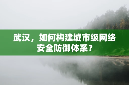 武汉，如何构建城市级网络安全防御体系？