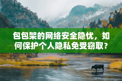 包包架的网络安全隐忧，如何保护个人隐私免受窃取？