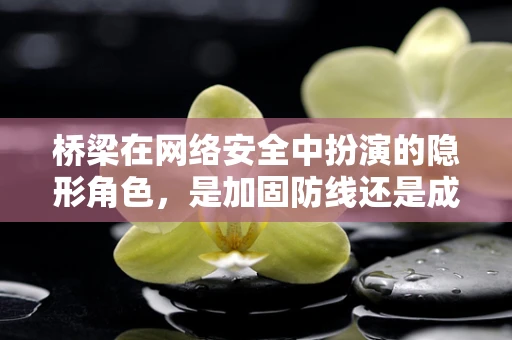 桥梁在网络安全中扮演的隐形角色，是加固防线还是成为攻击的跳板？