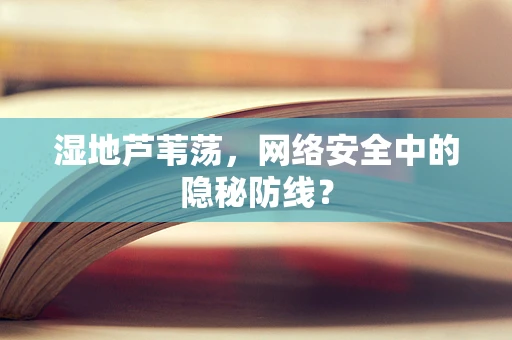 湿地芦苇荡，网络安全中的隐秘防线？