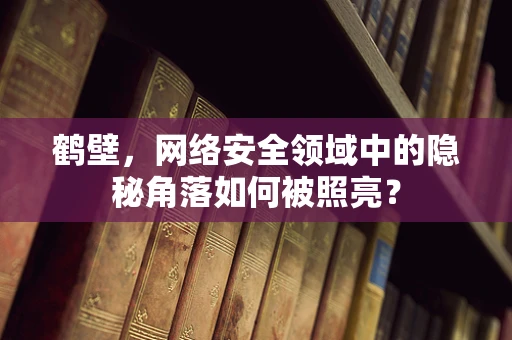 鹤壁，网络安全领域中的隐秘角落如何被照亮？