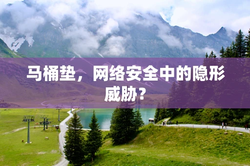 马桶垫，网络安全中的隐形威胁？