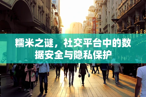 糯米之谜，社交平台中的数据安全与隐私保护