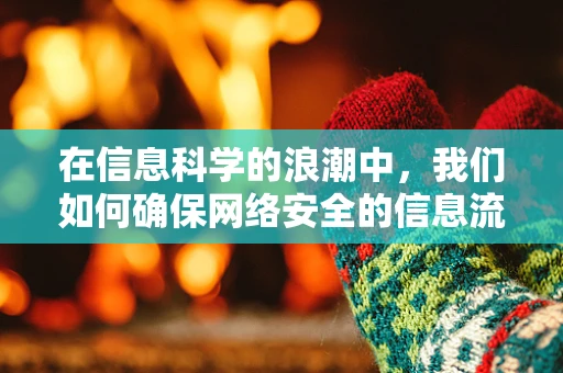 在信息科学的浪潮中，我们如何确保网络安全的信息流动不受干扰？
