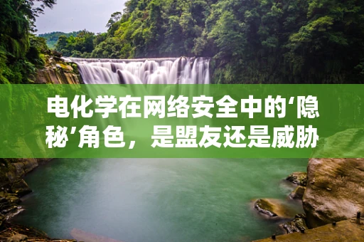 电化学在网络安全中的‘隐秘’角色，是盟友还是威胁？