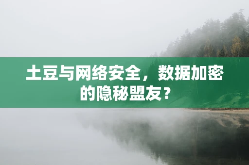 土豆与网络安全，数据加密的隐秘盟友？