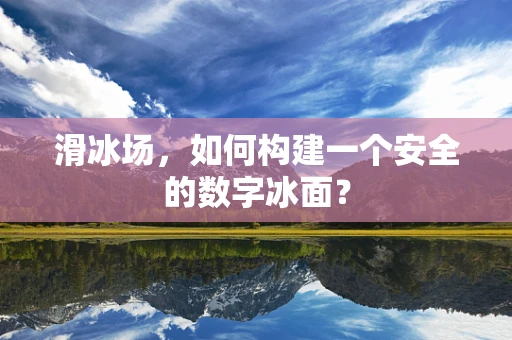 滑冰场，如何构建一个安全的数字冰面？