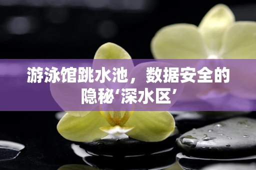 游泳馆跳水池，数据安全的隐秘‘深水区’