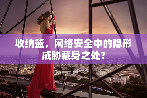 收纳篮，网络安全中的隐形威胁藏身之处？