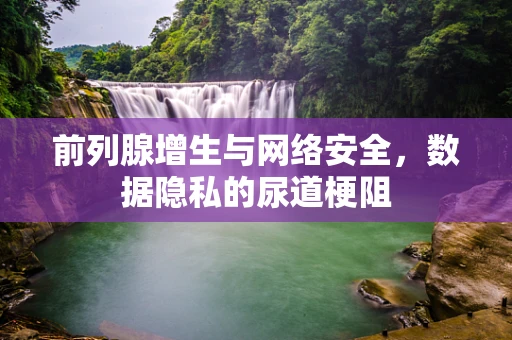 前列腺增生与网络安全，数据隐私的尿道梗阻