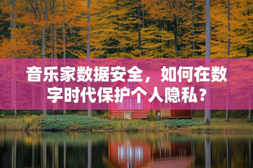 音乐家数据安全，如何在数字时代保护个人隐私？