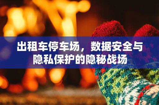 出租车停车场，数据安全与隐私保护的隐秘战场