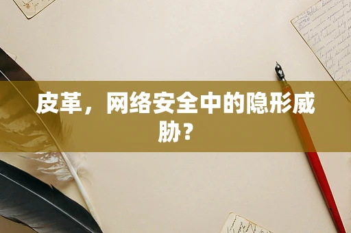 皮革，网络安全中的隐形威胁？