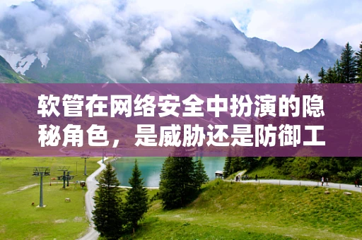 软管在网络安全中扮演的隐秘角色，是威胁还是防御工具？