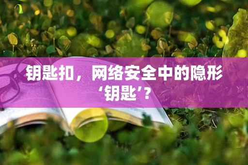 钥匙扣，网络安全中的隐形‘钥匙’？