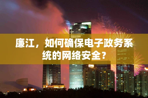 廉江，如何确保电子政务系统的网络安全？