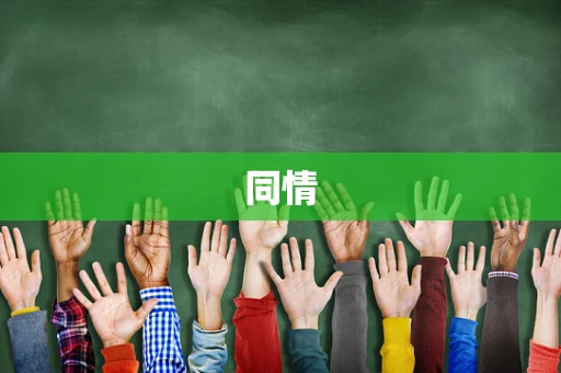同情