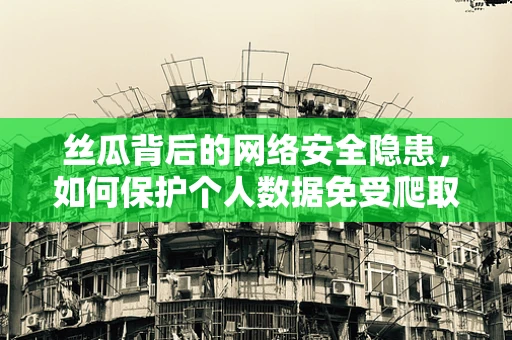 丝瓜背后的网络安全隐患，如何保护个人数据免受爬取之忧？