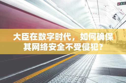 大臣在数字时代，如何确保其网络安全不受侵犯？