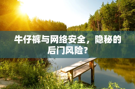 牛仔裤与网络安全，隐秘的后门风险？