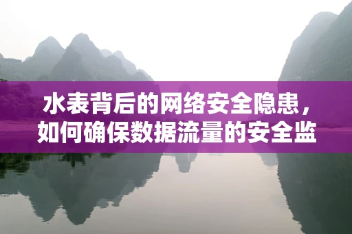 水表背后的网络安全隐患，如何确保数据流量的安全监测？
