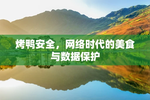 烤鸭安全，网络时代的美食与数据保护