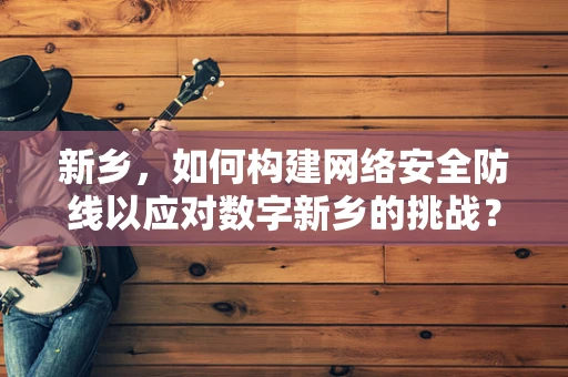 新乡，如何构建网络安全防线以应对数字新乡的挑战？