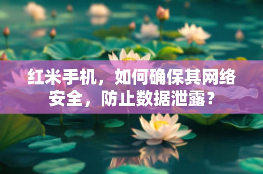 红米手机，如何确保其网络安全，防止数据泄露？