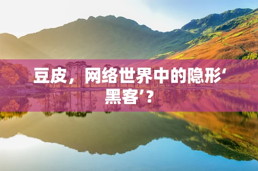 豆皮，网络世界中的隐形‘黑客’？