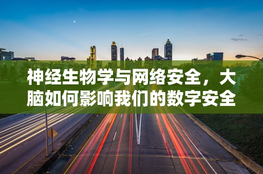 神经生物学与网络安全，大脑如何影响我们的数字安全决策？