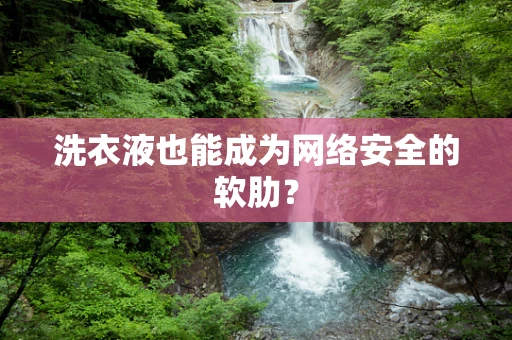 洗衣液也能成为网络安全的软肋？