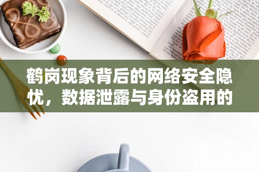 鹤岗现象背后的网络安全隐忧，数据泄露与身份盗用的新挑战？