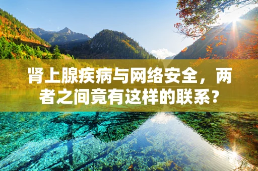 肾上腺疾病与网络安全，两者之间竟有这样的联系？